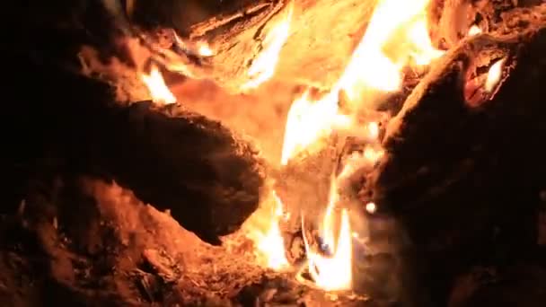Jazyky plamenů ohně detail — Stock video