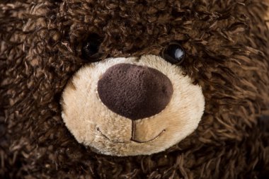 güzel bir oyuncak ayı