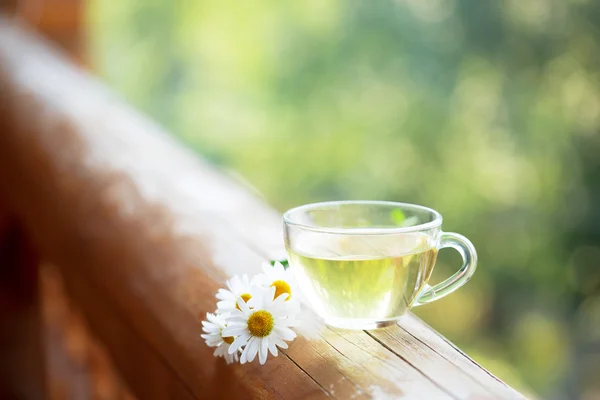 Чашка трав'яного чаю . — стокове фото