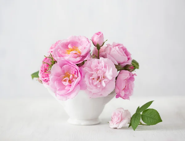 Flores rosadas (rosa) sobre fondo gris claro . — Foto de Stock