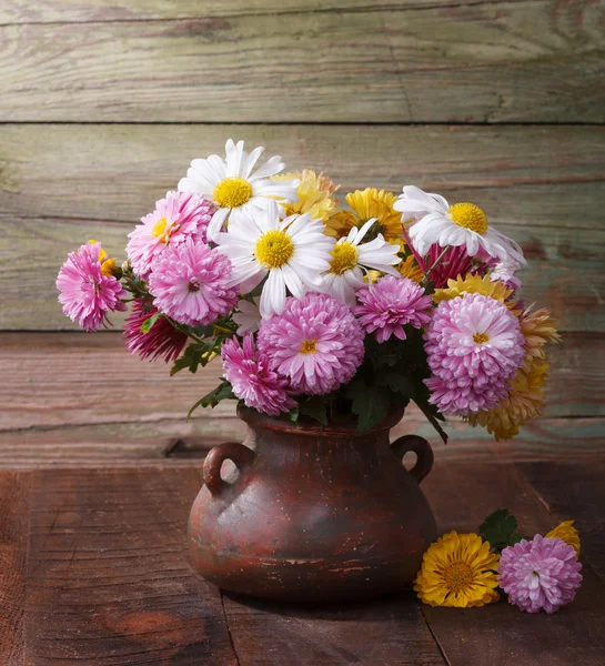 Colourful chrysanthemums bunch. — Stock Photo, Image