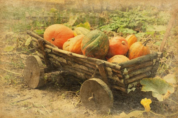 Carrello in legno con zucche — Foto Stock