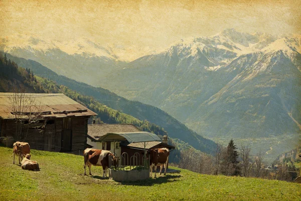 Small farm in Swiss alps — Stock Photo, Image