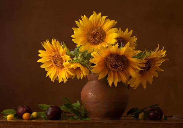 Stilleben med solrosor i pitcher — Stockfoto