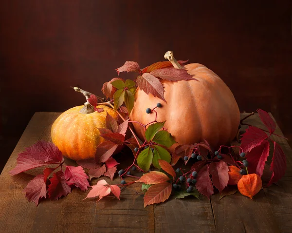 Herfst stilleven — Stockfoto