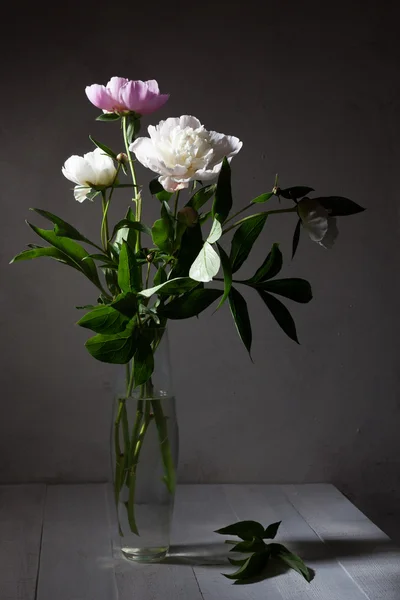 Bouquet of pale peonies — Stock Photo, Image