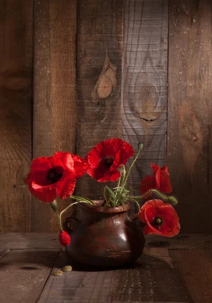 Amapolas en maceta de barro — Foto de Stock