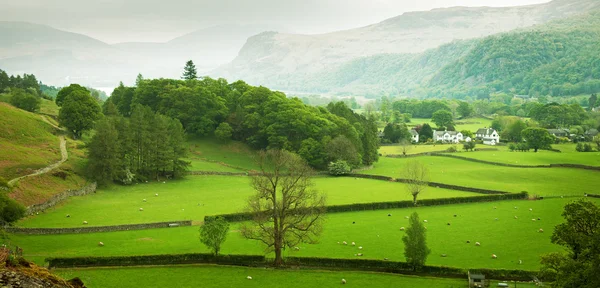 Engels platteland in het voorjaar van — Stockfoto