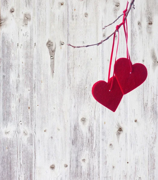 Röda hjärtan hänger på gren — Stockfoto