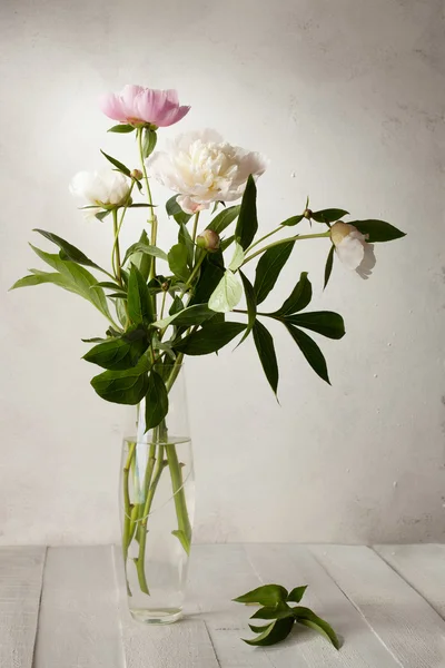 Peonías pálidas en florero de vidrio — Foto de Stock
