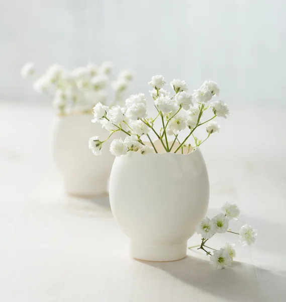 Gypsophila flowers in eggshells — Stock Photo, Image