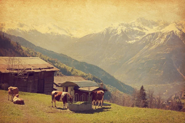 Pequeña granja en los Alpes suizos —  Fotos de Stock