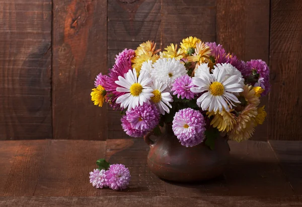 Chrysanthemums bunch — Stock Photo, Image