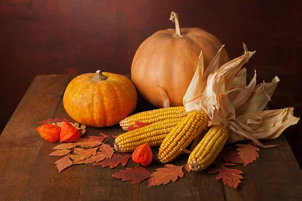 Zucche, grani e physalis — Foto Stock