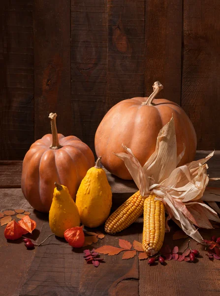 Citrouilles, feuilles et physalis — Photo