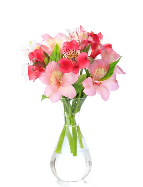 Strauß von Alstroemeria-Blumen — Stockfoto