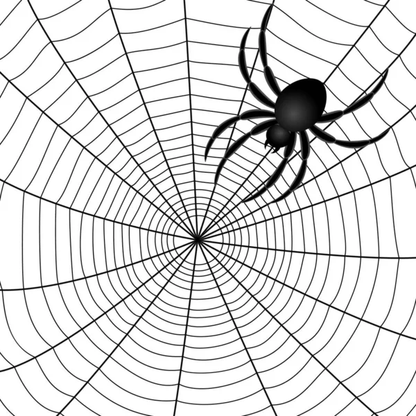 Spider Web Abstracte Tekening Vector Illustratie Eps — Stockvector