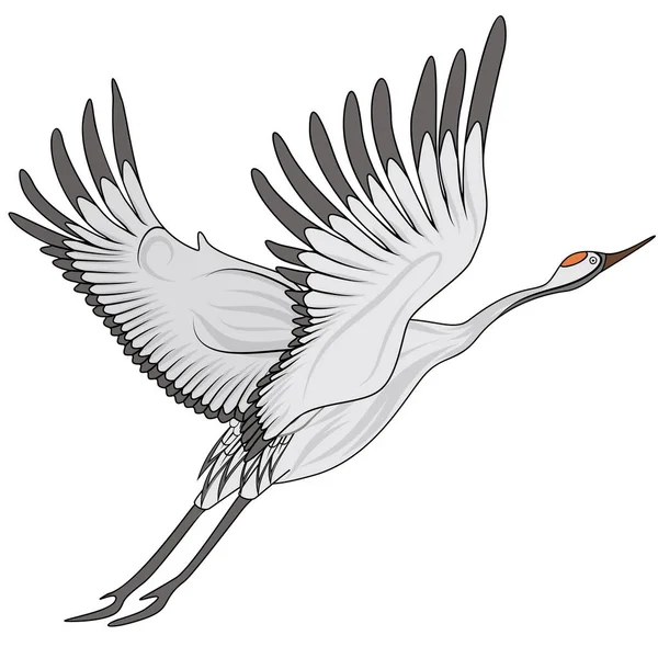 Flying Crane Vector Illustration Eps — Stock Vector