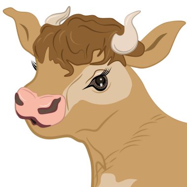 Büyüleyici inek suratı, vektör illüstrasyonu EPS 10