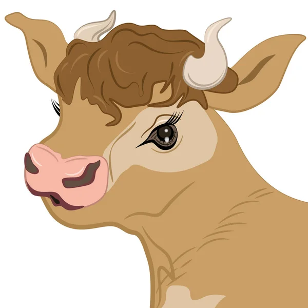グラマラス牛の顔ベクトルイラストEps — ストックベクタ