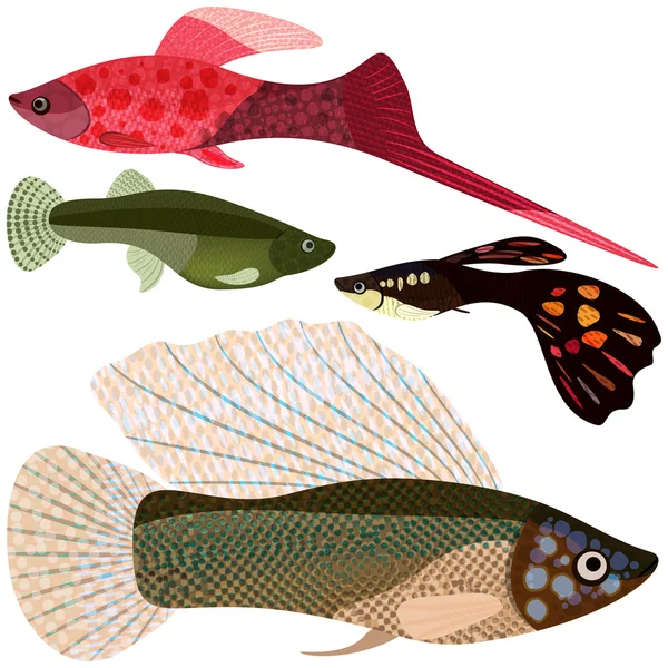Set de peces vivíparos acuario . — Vector de stock