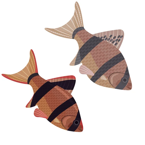 Peces acuario exótico . — Vector de stock