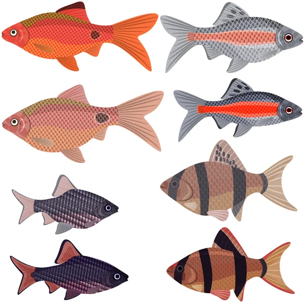 Peixes de aquário exóticos . — Vetor de Stock