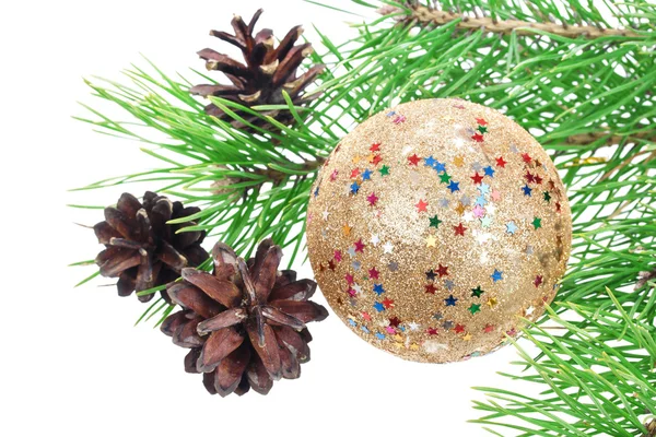 Boże Narodzenie drzewo gałąź z dekoracji — Zdjęcie stockowe