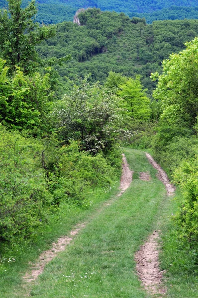 バルカン山脈の未舗装の道路 — ストック写真