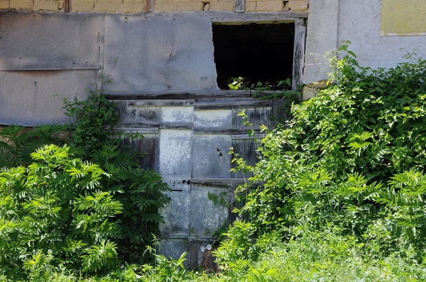 Porte envahie de la maison abandonnée — Photo