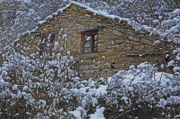 Edifício Abandonado Ruínas Arbustos Com Galhos Cobertos Neve Inverno — Fotografia de Stock