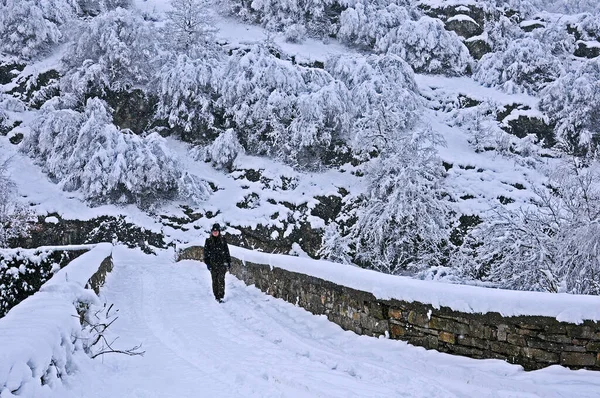 Caucasian Girl Walks Old Stone Bridge Snowy Bushes Shrubs Background — Stock Photo, Image