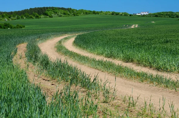 Dirt Road Flour Mill Bulgaria Spring — Stock Photo, Image