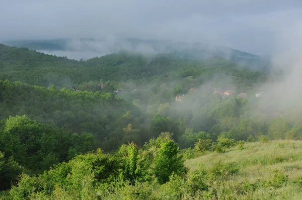 Arbustos Arbustos Árboles Casas Mañana Brumosa Pueblo Montaña Los Balcanes — Foto de Stock