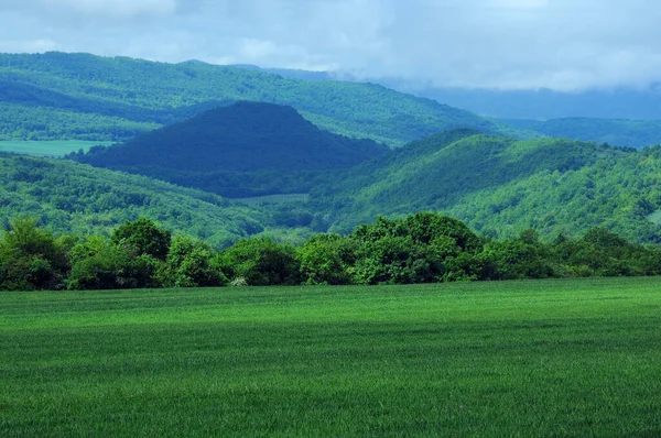 Paisaje Rural Nublado Con Verdes Colinas Arbustos Arbustos Nubes — Foto de Stock