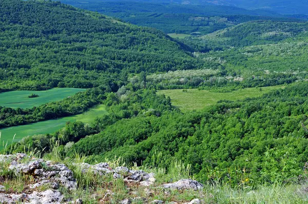 View Rural Landscape Bushes Shrubs Trees Bulgaria Hill May — Stock Photo, Image