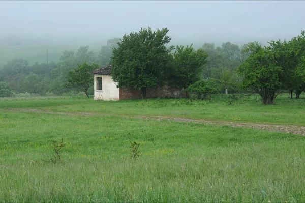 Vista Paisagem Rural Com Arbustos Arbustos Árvores Casa Abandonada Manhã — Fotografia de Stock