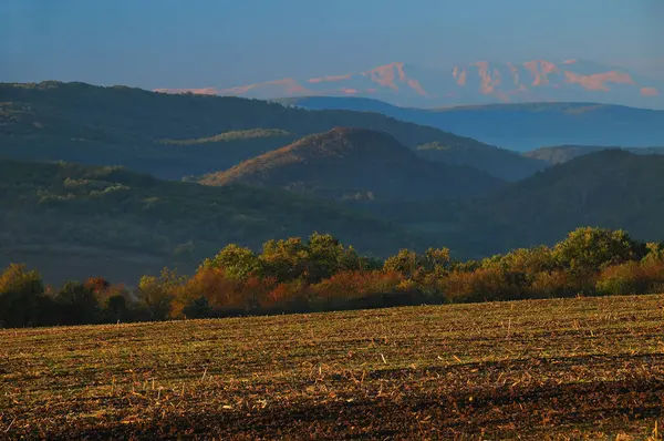 Salida Del Sol Brumosa Colinas Tierra Cultivable Primer Plano Bulgaria — Foto de Stock