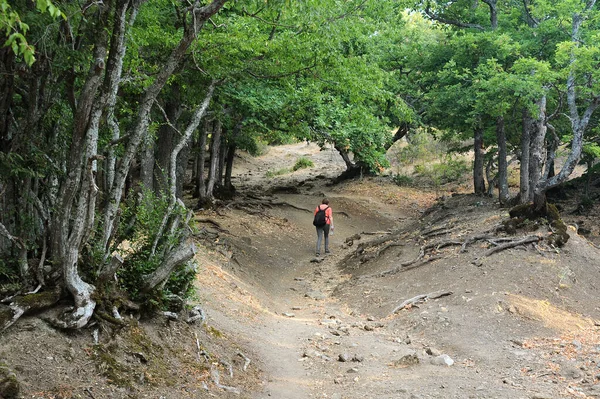 Caucasian Woman Walks Balkan Mountains Summertime — Stock Photo, Image