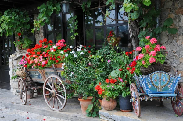 Bloemen in de karren en plantenbakken — Stockfoto