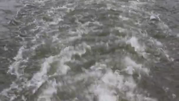 Kokend water in de rivier — Stockvideo