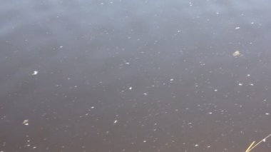 dalgalı akan nehir