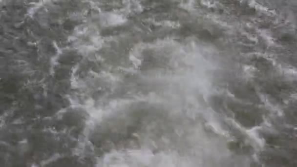 Forrásban lévő víz a folyóba — Stock videók