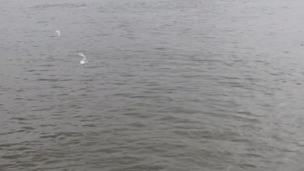 Rivière ondulée qui coule 