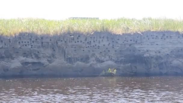 Faliste płynącej rzeki — Wideo stockowe