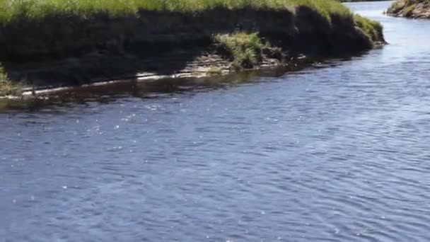 波浪流淌的河水 — 图库视频影像