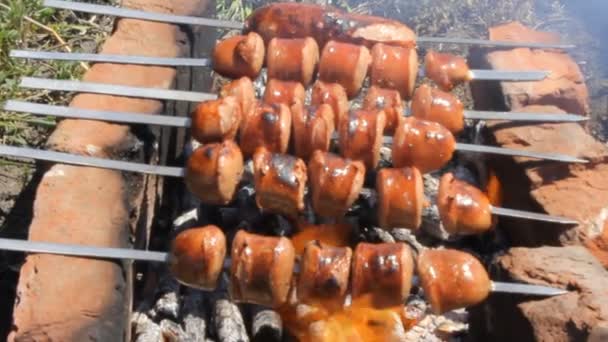 Saucisses grillées — Video