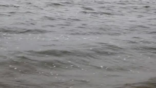Surface of lake with waves — Stock Video