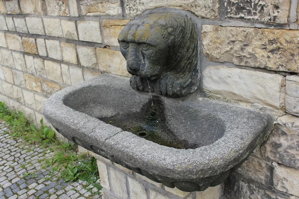 Lion head fountain sculpture — Stock Photo, Image
