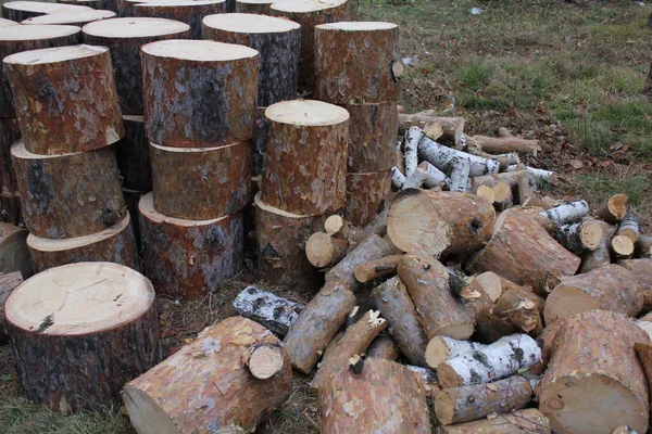 Pile of cut wood — Stock Photo, Image